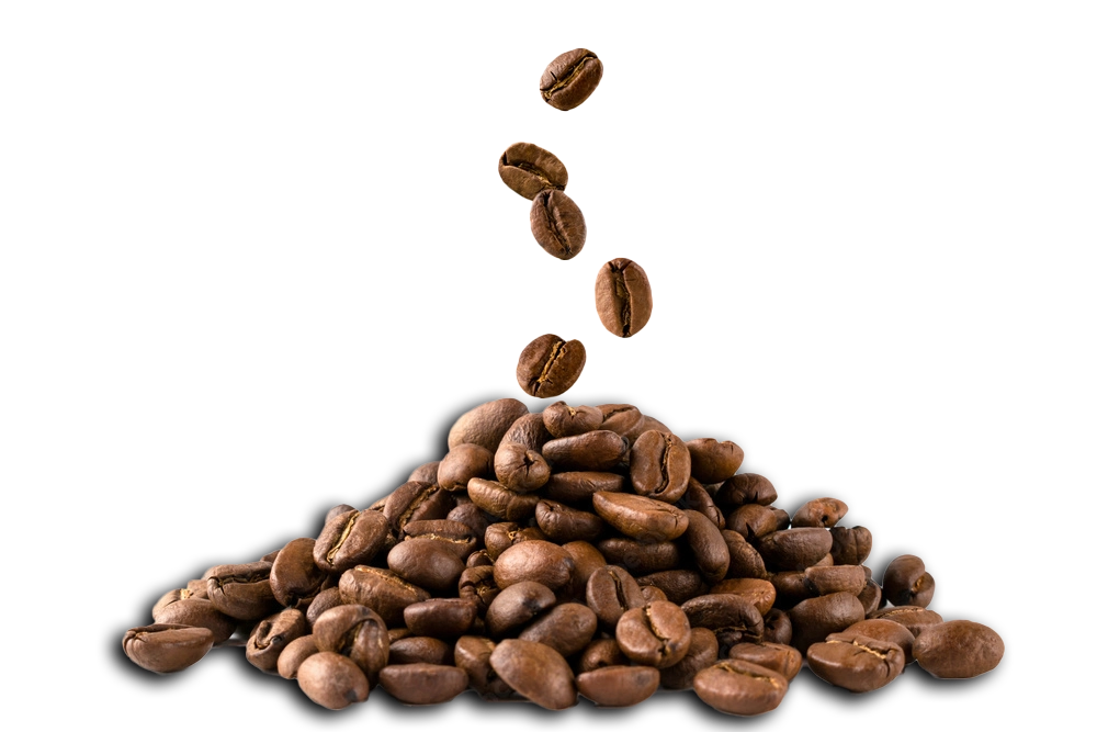 Coffee Beans | Coffee Beans Packaging Machine | Weighing Packaging Machine | Volumetric Packaging Machine